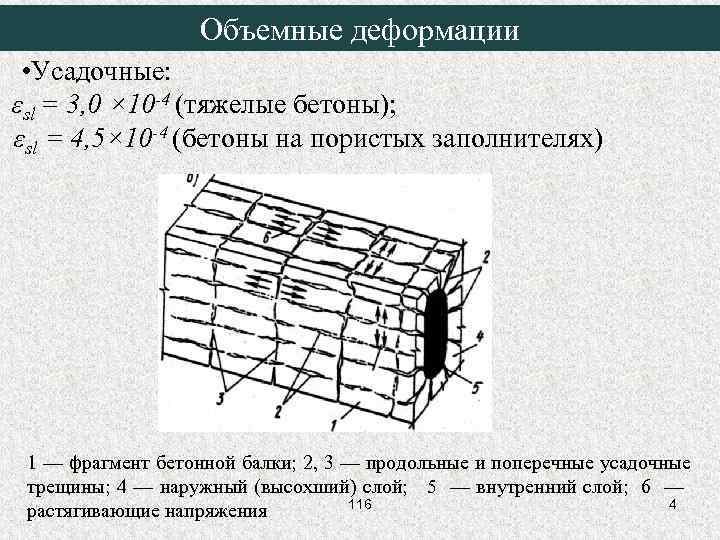 Объемные деформации • Усадочные: εsl = 3, 0 × 10 -4 (тяжелые бетоны); εsl