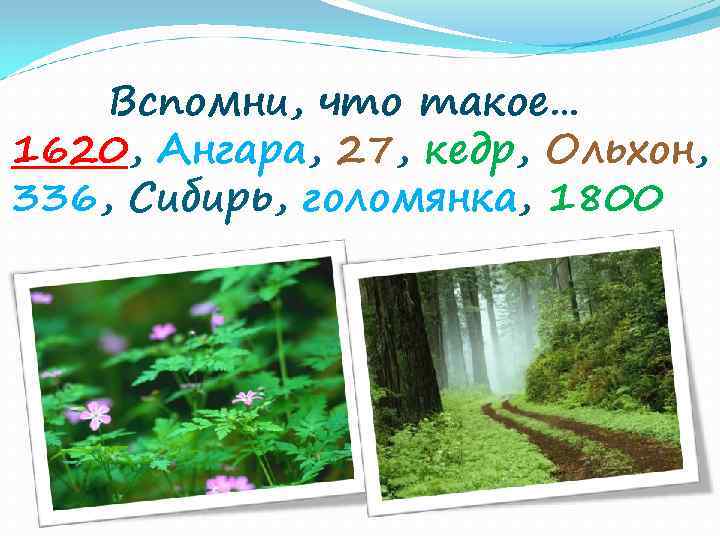 Вспомни, что такое… 1620, Ангара, 27, кедр, Ольхон, 336, Сибирь, голомянка, 1800 