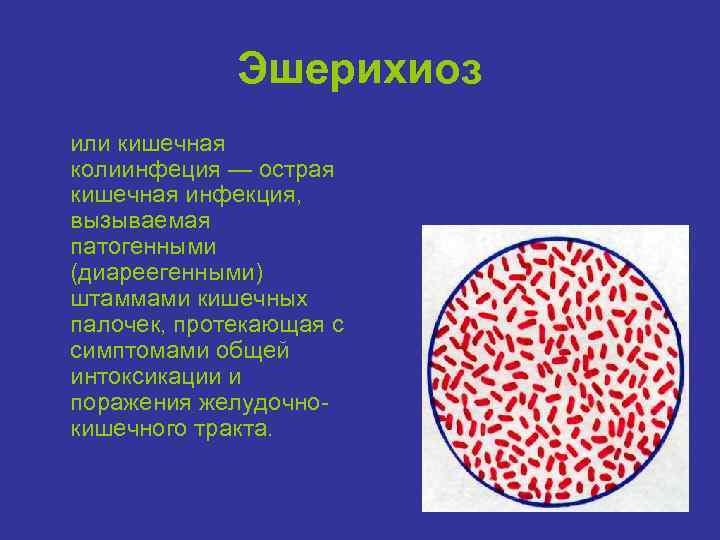 Эшерихиоз или кишечная колиинфеция — острая кишечная инфекция, вызываемая патогенными (диареегенными) штаммами кишечных палочек,
