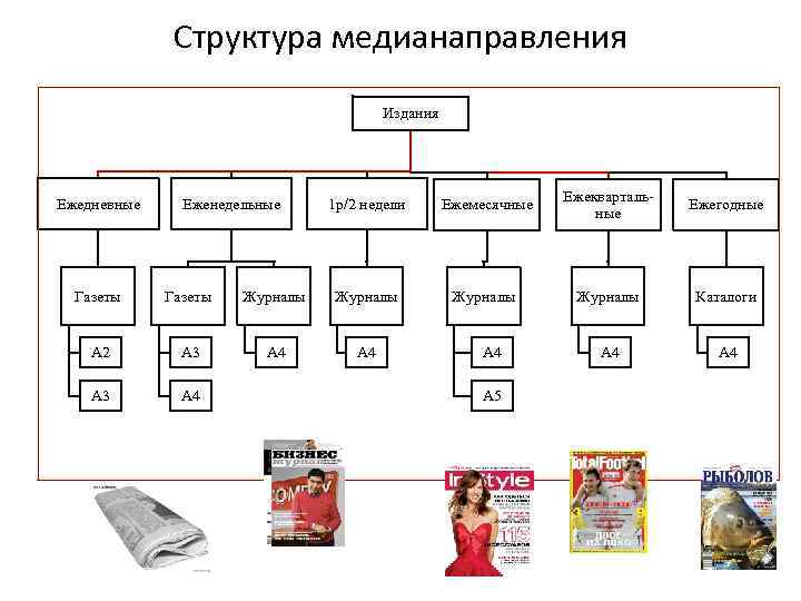 Структура медианаправления Издания Ежедневные Еженедельные 1 р/2 недели Ежемесячные Ежеквартальные Ежегодные Журналы Каталоги А