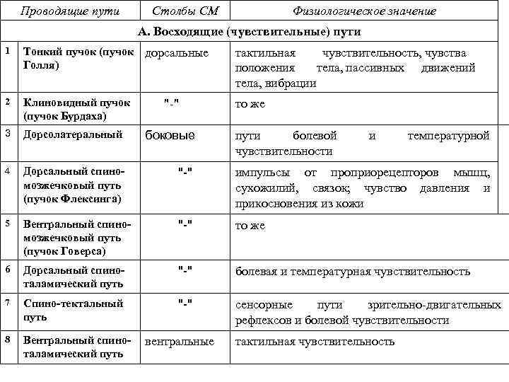 Проводящие пути Столбы СМ Физиологическое значение А. Восходящие (чувствительные) пути 1 Тонкий пучок (пучок