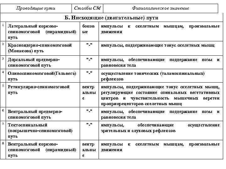 Проводящие пути Столбы СМ Физиологическое значение Б. Нисходящие (двигательные) пути 1 Латеральный корковоспиномозговой (пирамидный)