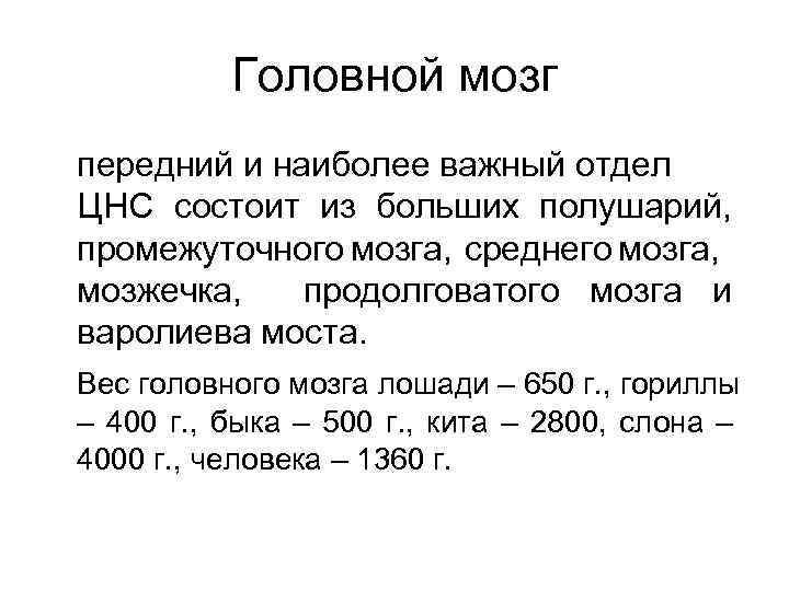 Головной мозг передний и наиболее важный отдел ЦНС состоит из больших полушарий, промежуточного мозга,