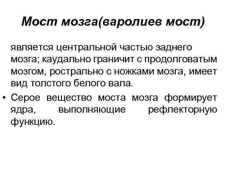 Мост мозга(варолиев мост) является центральной частью заднего мозга; каудально граничит с продолговатым мозгом, рострально