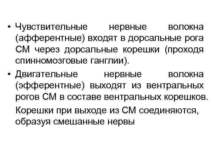  • Чувствительные нервные волокна (афферентные) входят в дорсальные рога СМ через дорсальные корешки