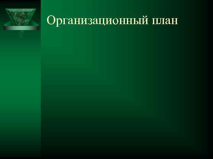 Организационный план 