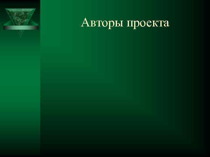 Авторы проекта 
