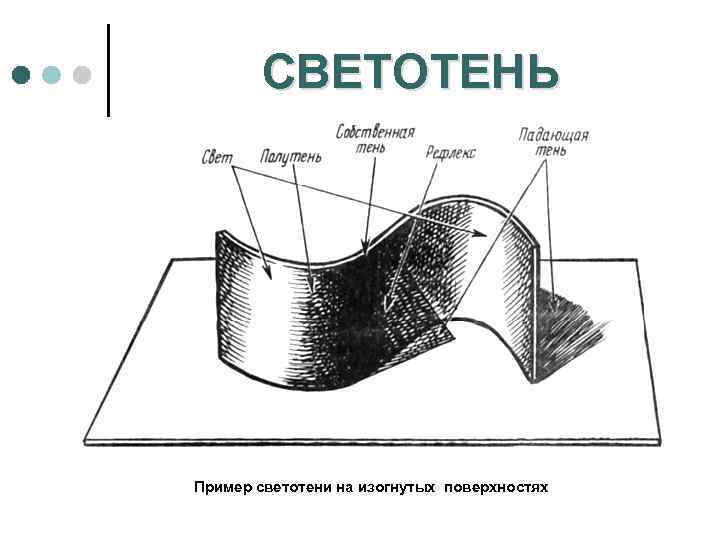 СВЕТОТЕНЬ Пример светотени на изогнутых поверхностях 