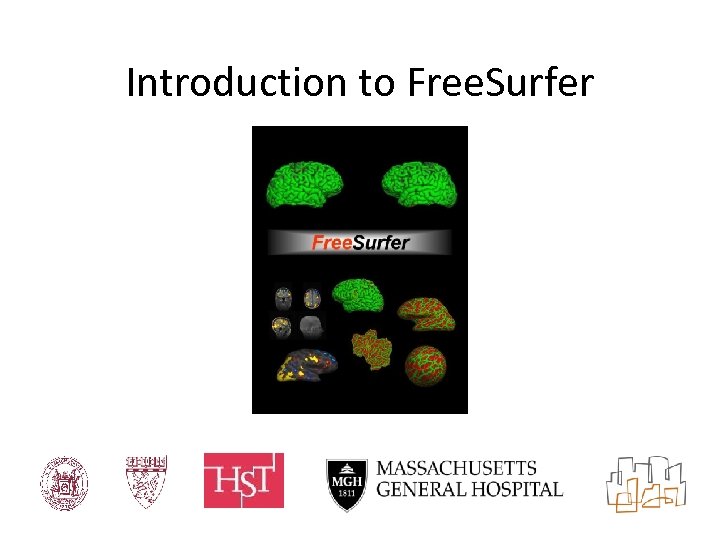 Introduction to Free. Surfer 