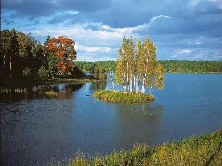 Фото моя родина беларусь