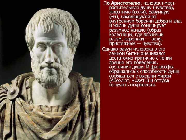 По Аристотелю, человек имеет растительную душу (чувства), животную (воля), разумную (ум), находящуюся во внутреннем
