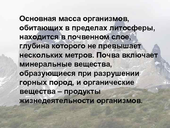 Основная масса организмов, обитающих в пределах литосферы, находится в почвенном слое, глубина которого не