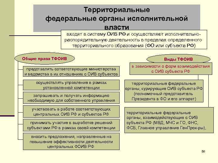 Территориальные федеральные органы исполнительной власти входят в систему ОИВ РФ и осуществляют исполнительнораспорядительную деятельность