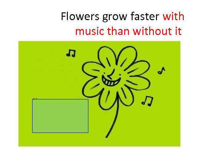 Flowers grow faster with music than without it 