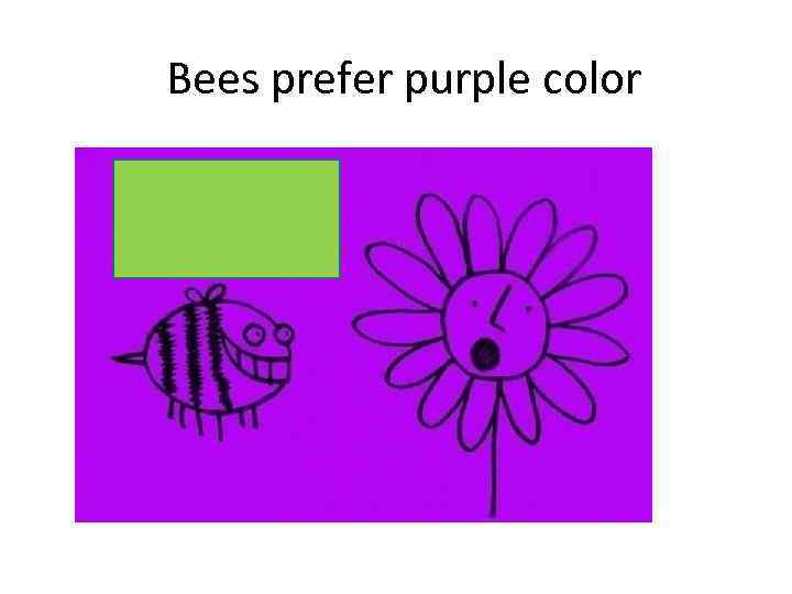 Bees prefer purple color 