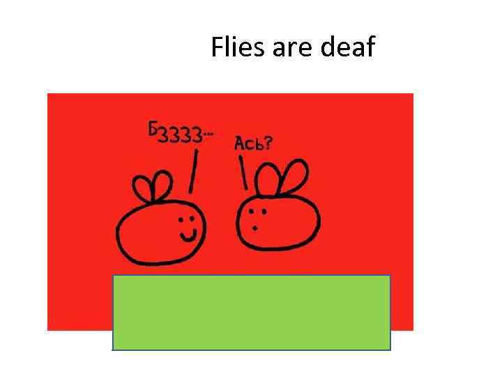 Flies are deaf 