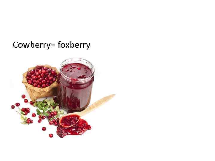 Cowberry= foxberry 