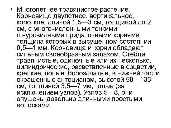  • Многолетнее травянистое растение. Корневище двулетнее, вертикальное, короткое, длиной 1, 5— 3 см,