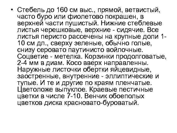  • Стебель до 160 см выс. , прямой, ветвистый, часто буро или фиолетово