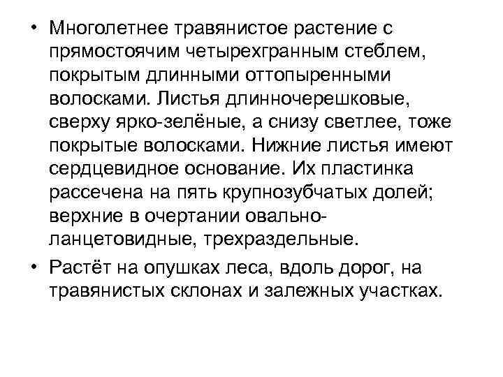  • Многолетнее травянистое растение с прямостоячим четырехгранным стеблем, покрытым длинными оттопыренными волосками. Листья
