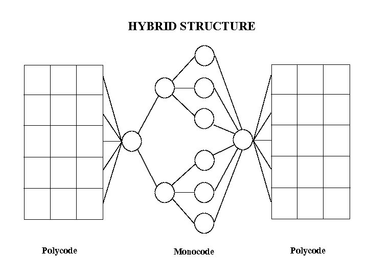 HYBRID STRUCTURE Polycode Monocode Polycode 
