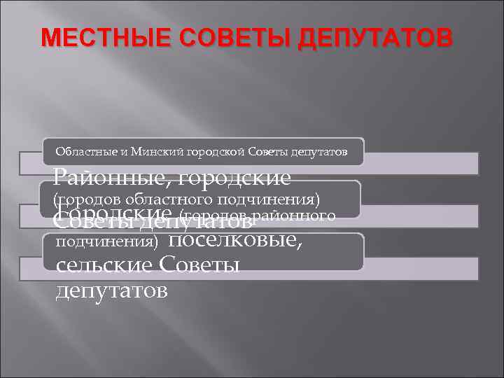 Местные советы депутатов