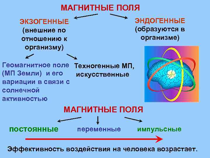 МАГНИТНЫЕ ПОЛЯ ЭНДОГЕННЫЕ (образуются в организме) ЭКЗОГЕННЫЕ (внешние по отношению к организму) Геомагнитное поле