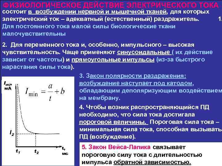 Из чего состоит ток