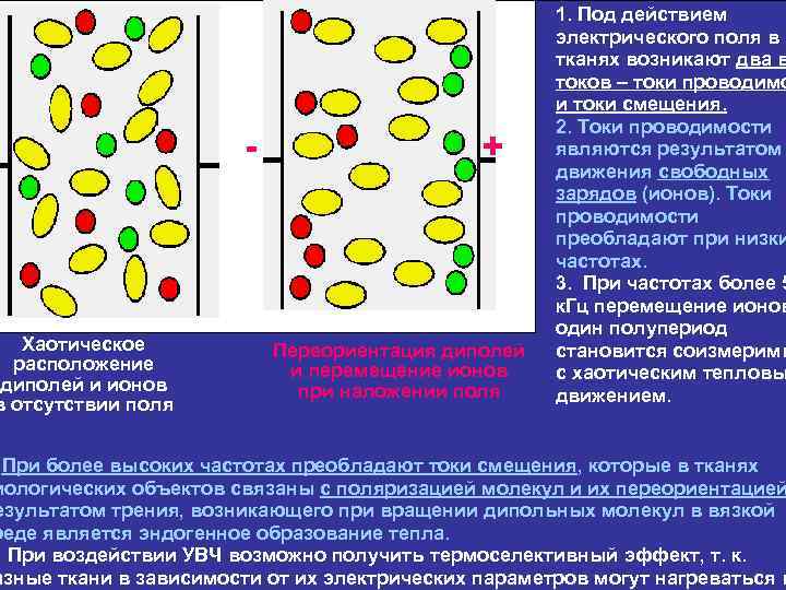 диполи Хаотическое расположение диполей и ионов в отсутствии поля + ионы Переориентация диполей и