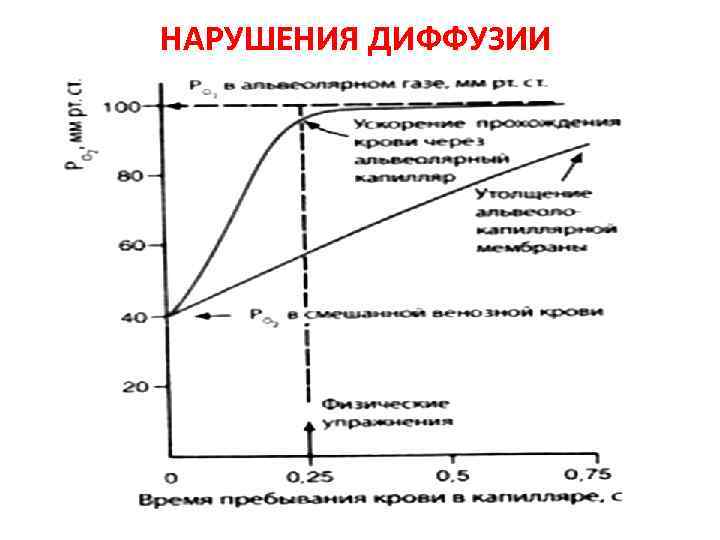 НАРУШЕНИЯ ДИФФУЗИИ 