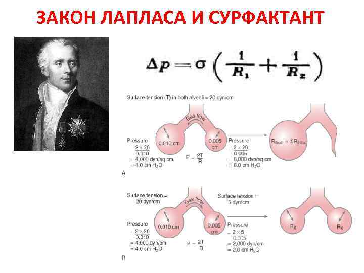 ЗАКОН ЛАПЛАСА И СУРФАКТАНТ 