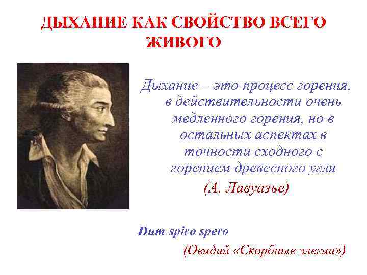 ДЫХАНИЕ КАК СВОЙСТВО ВСЕГО ЖИВОГО Дыхание – это процесс горения, в действительности очень медленного