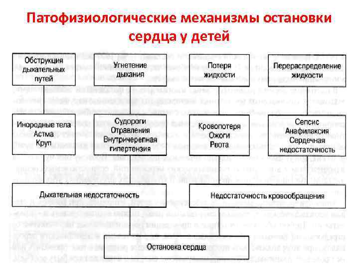 Патофизиологические механизмы остановки сердца у детей 5 