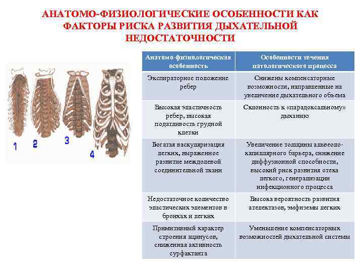 АНАТОМО-ФИЗИОЛОГИЧЕСКИЕ ОСОБЕННОСТИ КАК ФАКТОРЫ РИСКА РАЗВИТИЯ ДЫХАТЕЛЬНОЙ НЕДОСТАТОЧНОСТИ Анатомо-физиологическая особенность Особенности течения патологического процесса