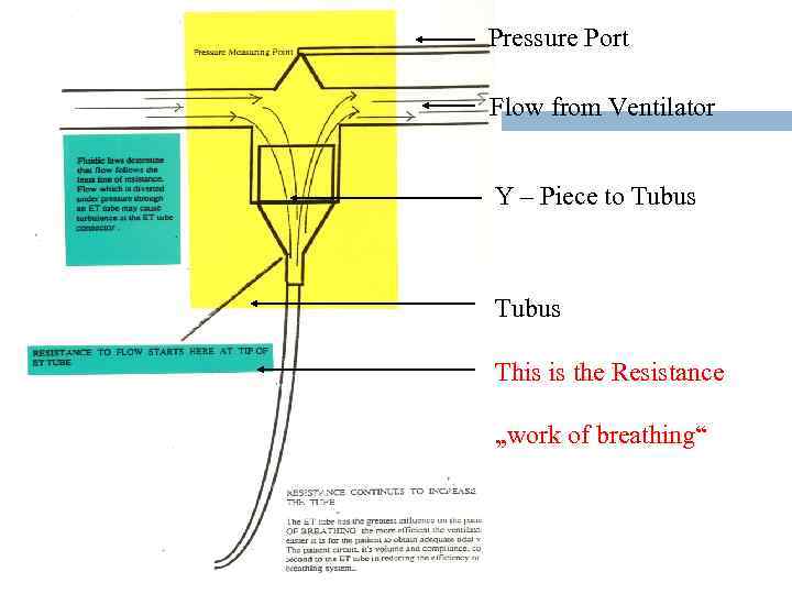 Pressure Port Flow from Ventilator Y – Piece to Tubus This is the Resistance
