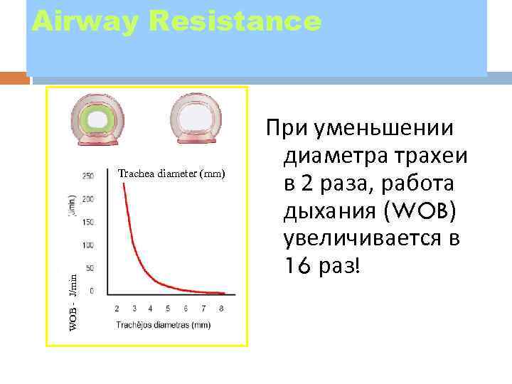 Airway Resistance WOB - J/min Trachea diameter (mm) При уменьшении диаметра трахеи в 2