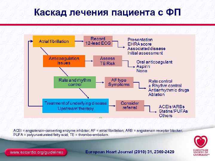 Каскад лечения пациента с ФП ACEI = angiotensin-converting enzyme inhibitor; AF = atrial fibrillation;