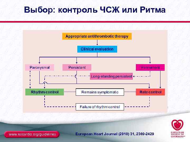 Выбор: контроль ЧСЖ или Ритма www. escardio. org/guidelines European Heart Journal (2010) 31, 2369
