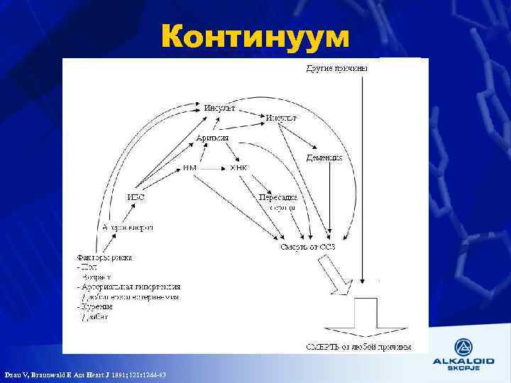 Континуум Dzau V, Braunwald E Am Heart J 1991; 121: 1244 -63 