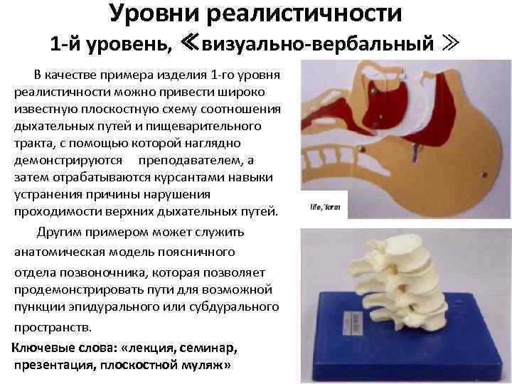 Уровни реалистичности 1 -й уровень, ≪визуально-вербальный ≫ В качестве примера изделия 1 -го уровня