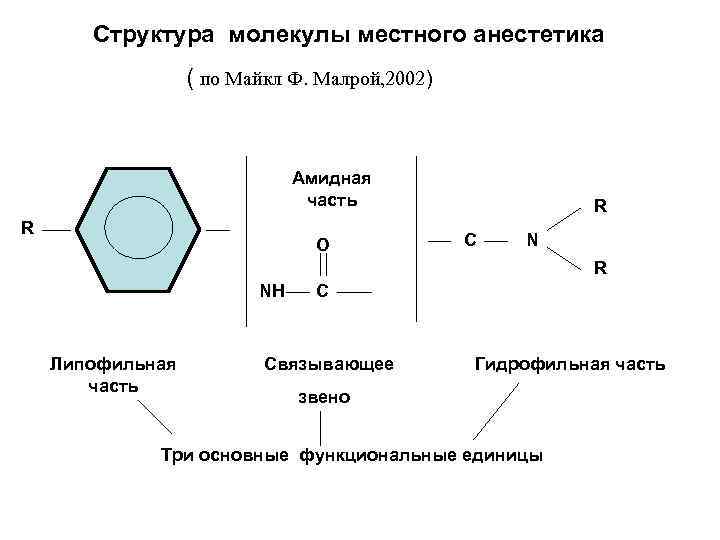 Структура молекулы местного анестетика ( по Майкл Ф. Малрой, 2002) Амидная часть R O