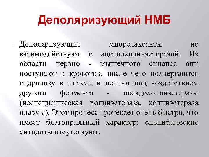 Деполяризующий НМБ Деполяризующие миорелаксанты не взаимодействуют с ацетилхолинэстеразой. Из области нервно - мышечного синапса