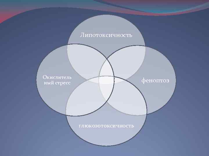 Липотоксичность Окислитель ный стресс феноптоз глюкозотоксичность 