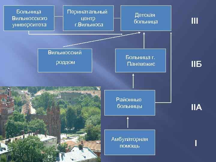 Больница Вильнюсского университета Перинатальный центр г. Вильнюса Вильнюсский роддом Детская больница Больница г. Паневежис