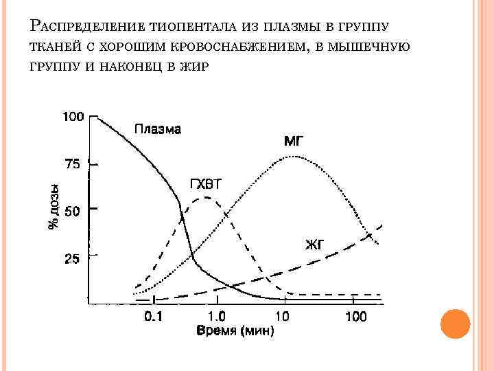 РАСПРЕДЕЛЕНИЕ ТИОПЕНТАЛА ИЗ ПЛАЗМЫ В ГРУППУ ТКАНЕЙ С ХОРОШИМ КРОВОСНАБЖЕНИЕМ, В МЫШЕЧНУЮ ГРУППУ И