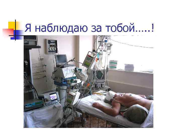 Я наблюдаю за тобой…. . ! 