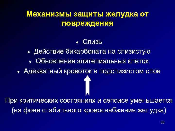 Механизмы защиты желудка от повреждения Слизь · Действие бикарбоната на слизистую · Обновление эпителиальных