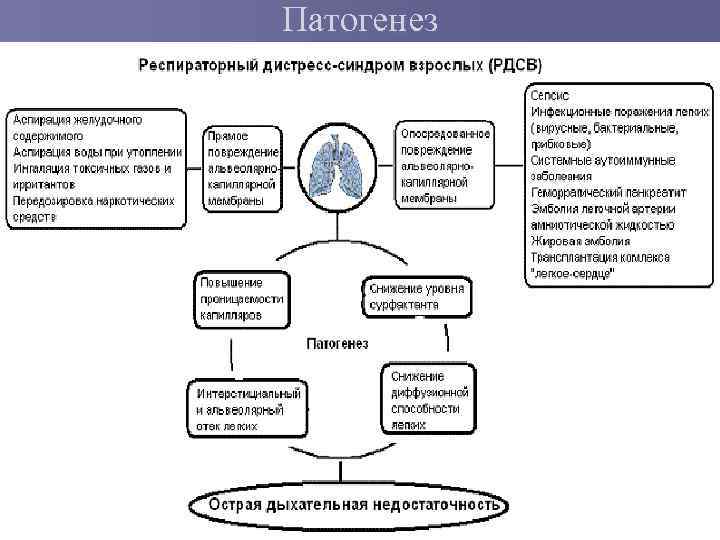 Патогенез 