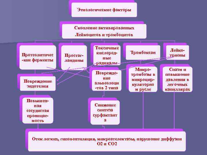 Этиологические факторы Скопление активированных Лейкоцитов и тромбоцитов Протеолитичес -кие ферменты Повреждение эндотелия Повышенная сосудистая