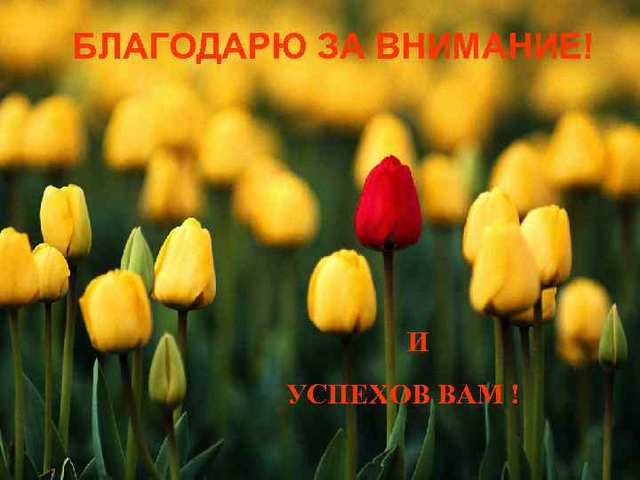 БЛАГОДАРЮ ЗА ВНИМАНИЕ! И УСПЕХОВ ВАМ ! 